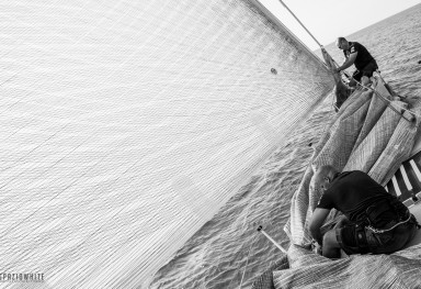 46 BARCOLANA REGATTA – FATA ASSICURAZIONI